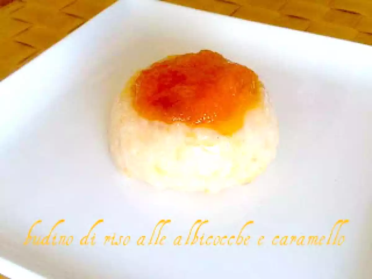 BUDINO DI RISO ALLE ALBICOCCHE E CARAMELLO - foto 3