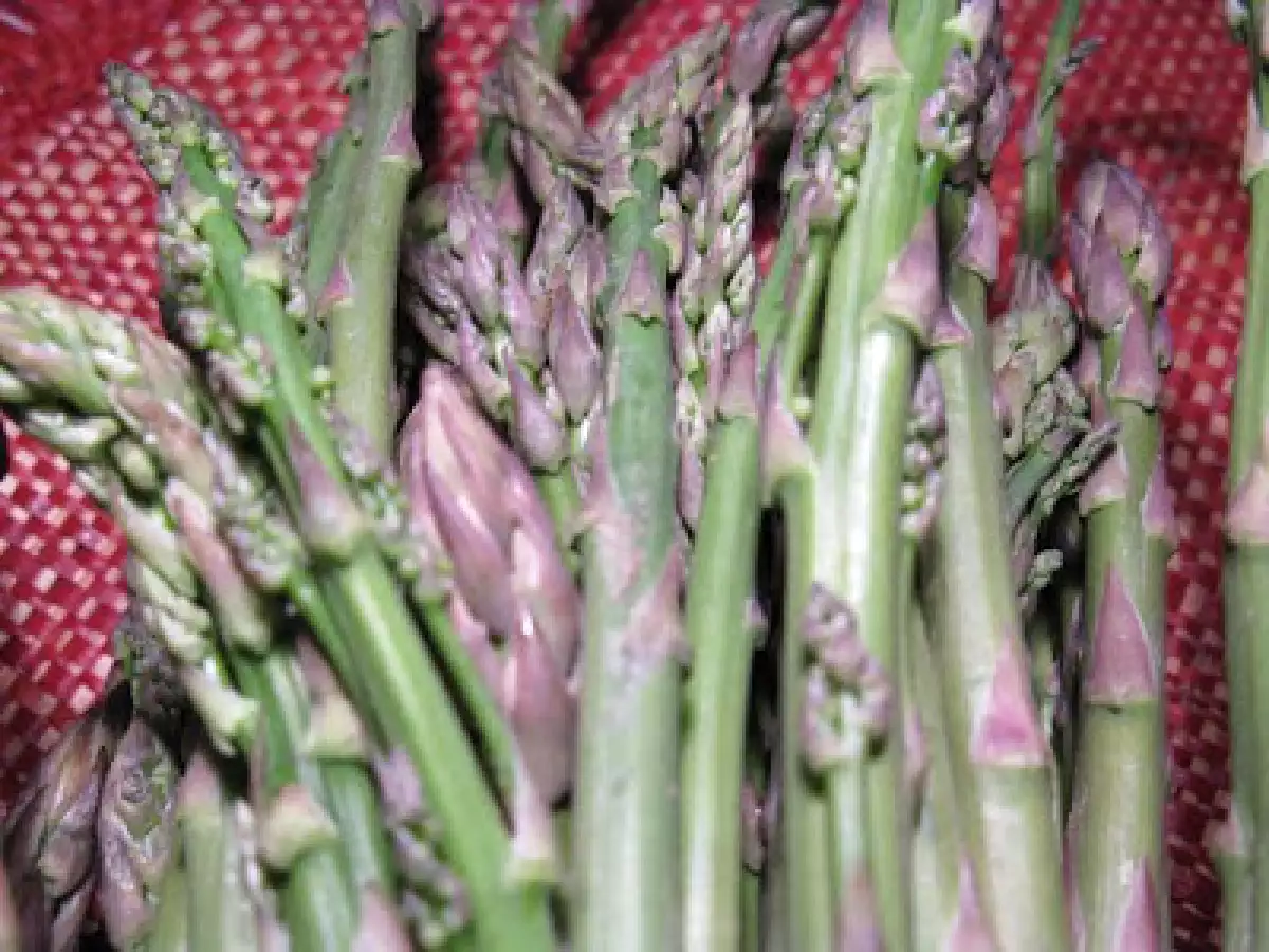 Cake dolce agli asparagi con zabaione cremoso... agli asparagi - foto 12