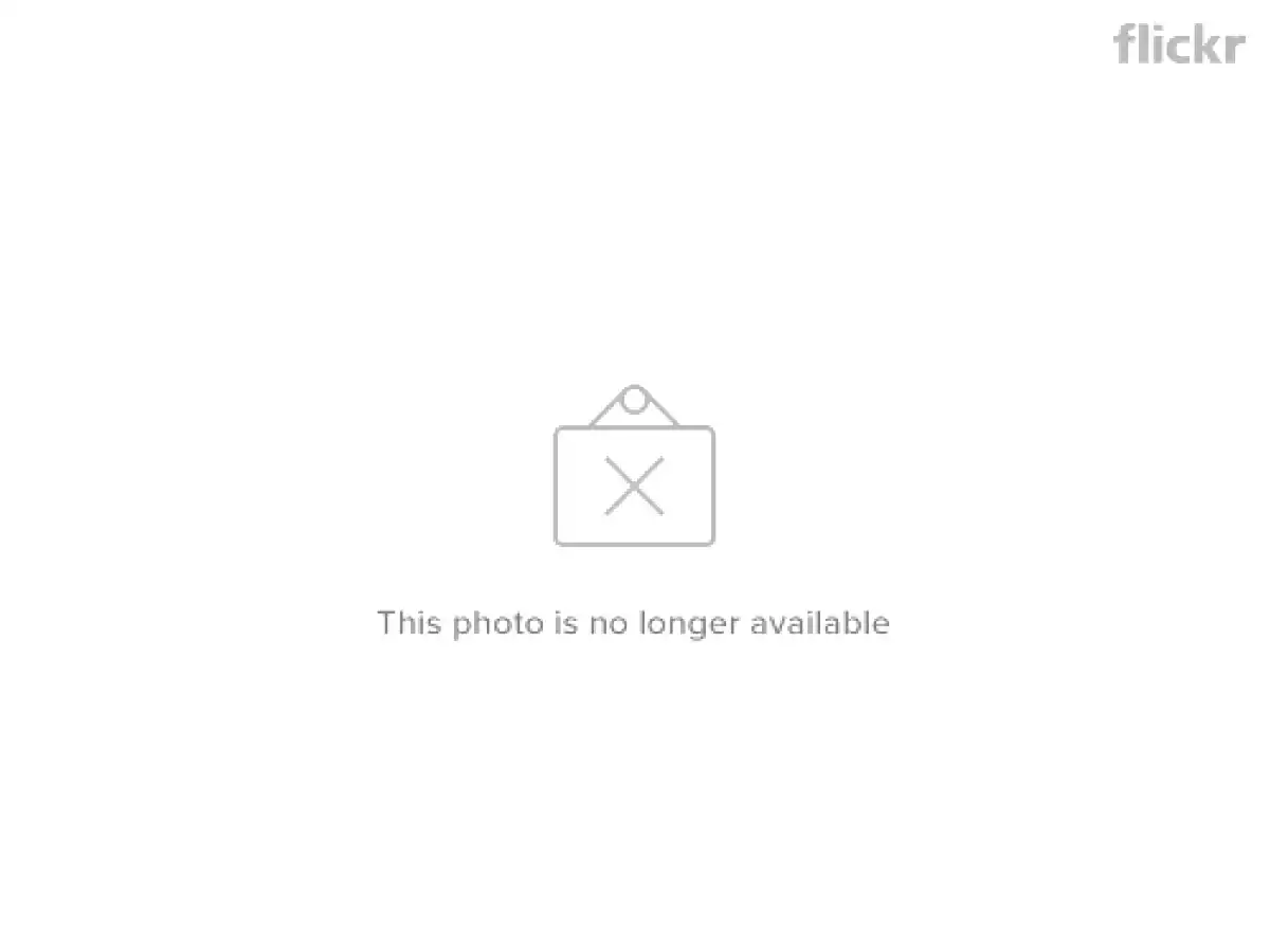 Cannelloni alla Gianna, ripieni con zucchine e formaggio - foto 6