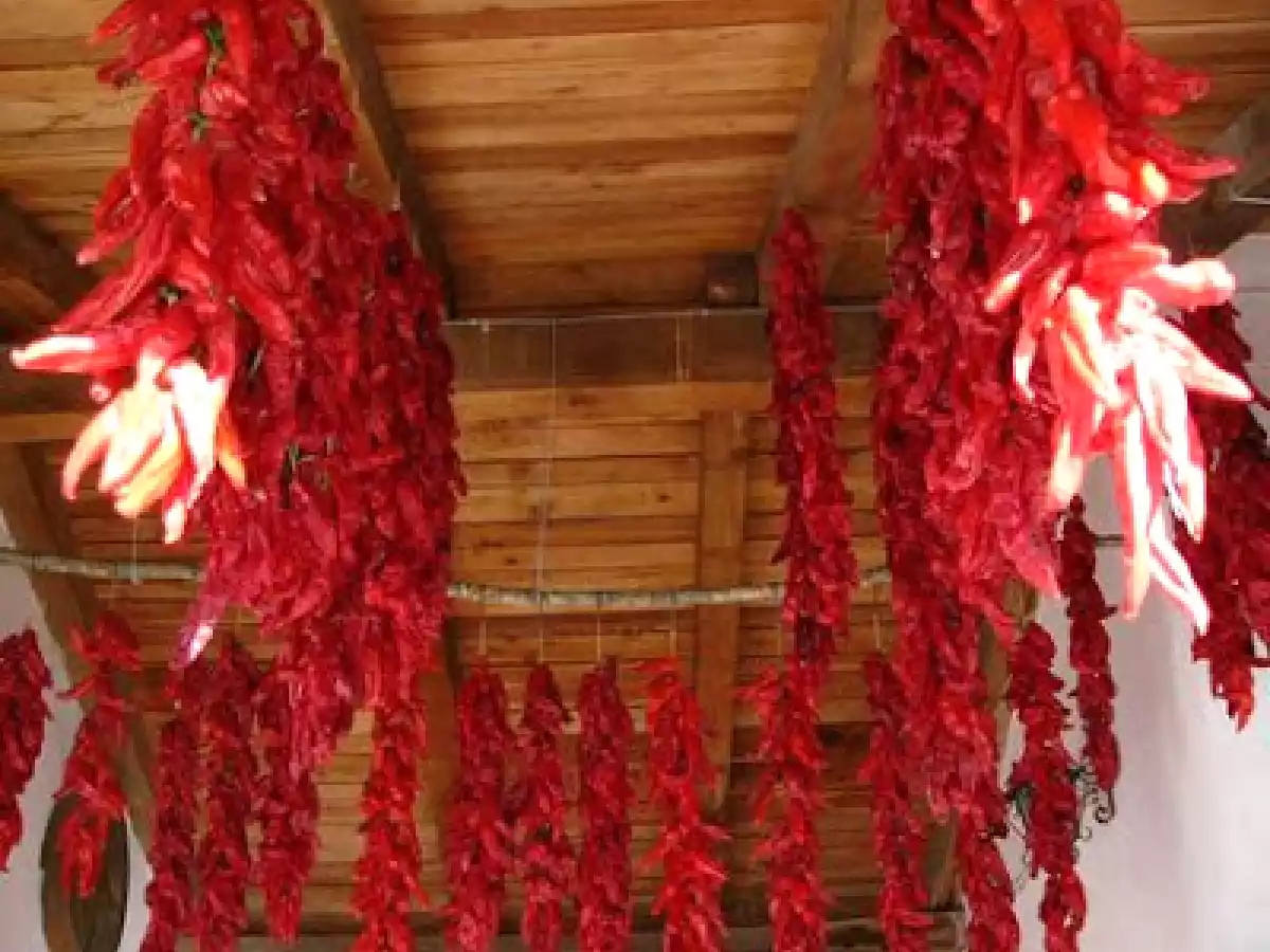 Cavatelli con peperoni cruschi e mollica - foto 4