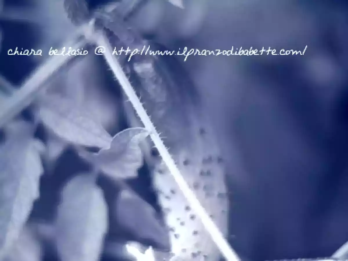 Cetrioli cotti allo zenzero - foto 3