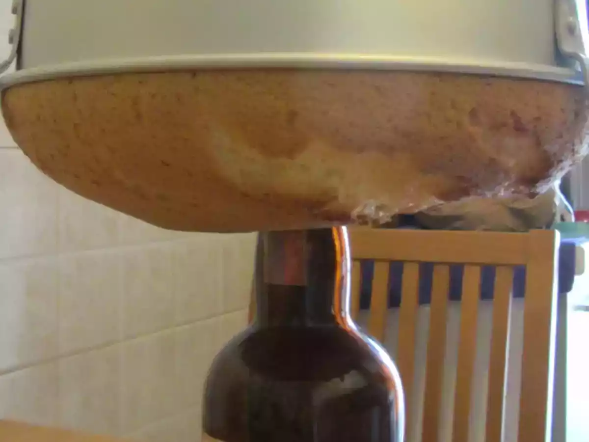 chiffon cake - foto 2