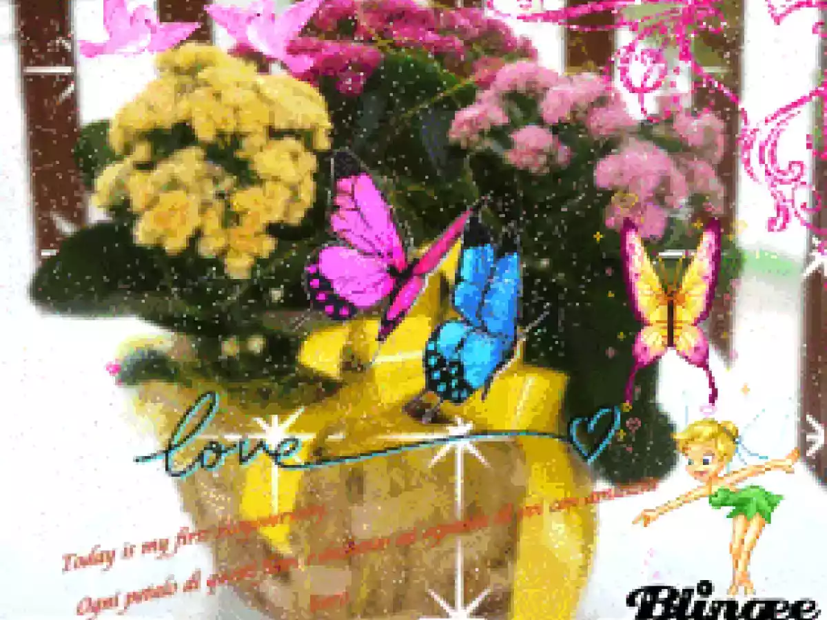 Ciambella alla panna di Anna Moroni - foto 6