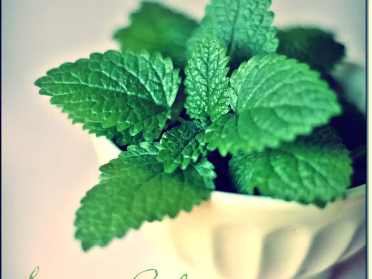 Ciambelline alla melissa - foto 2