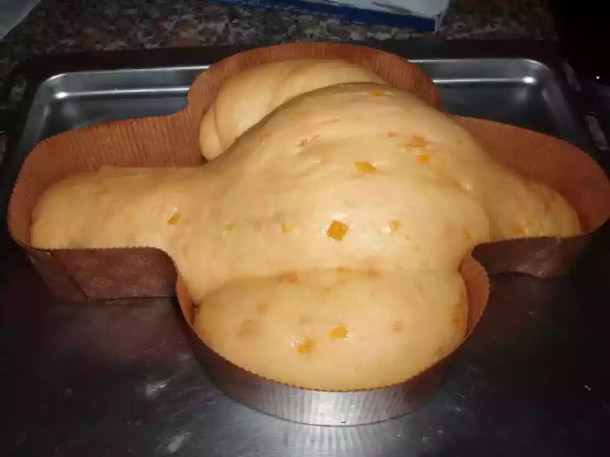 Colomba a lievitazione naturale delle sorelle Simili adattata al TM31 da miriam - foto 6