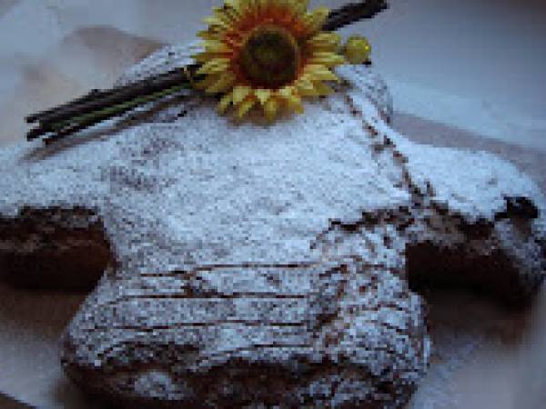 COLOMBA RICOTTA E CIOCCOLATO