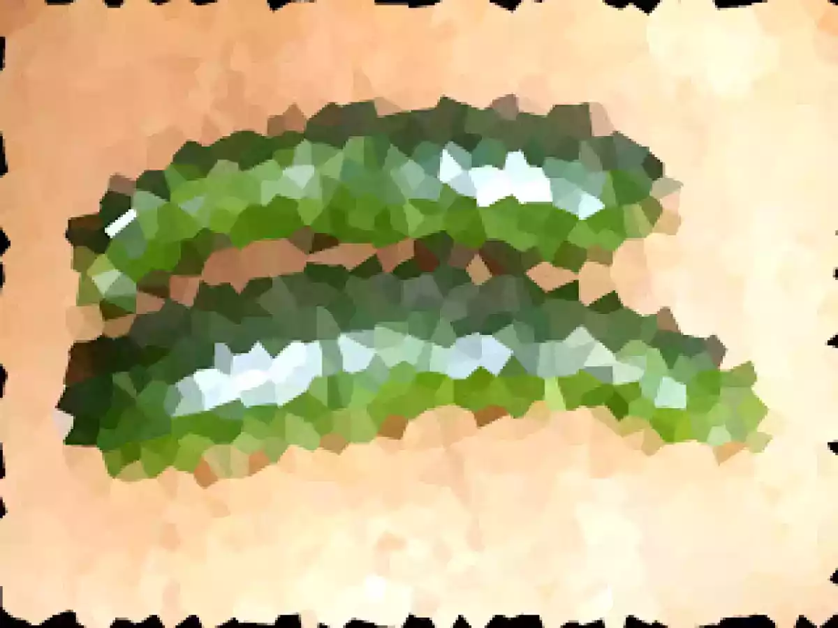 Conchiglioni ripieni, al forno - foto 6