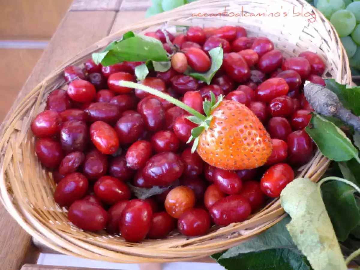Confettura di corniolo e petali di rosa: la ricetta fatta in casa dal sapore delicato e floreale - foto 3