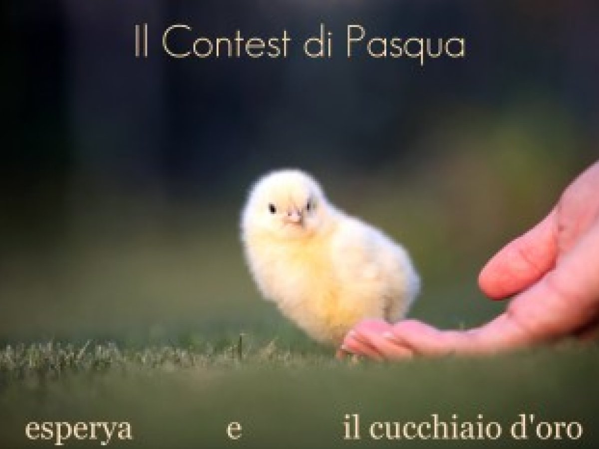 Coniglietti di pane al latte per Pasqua - foto 2