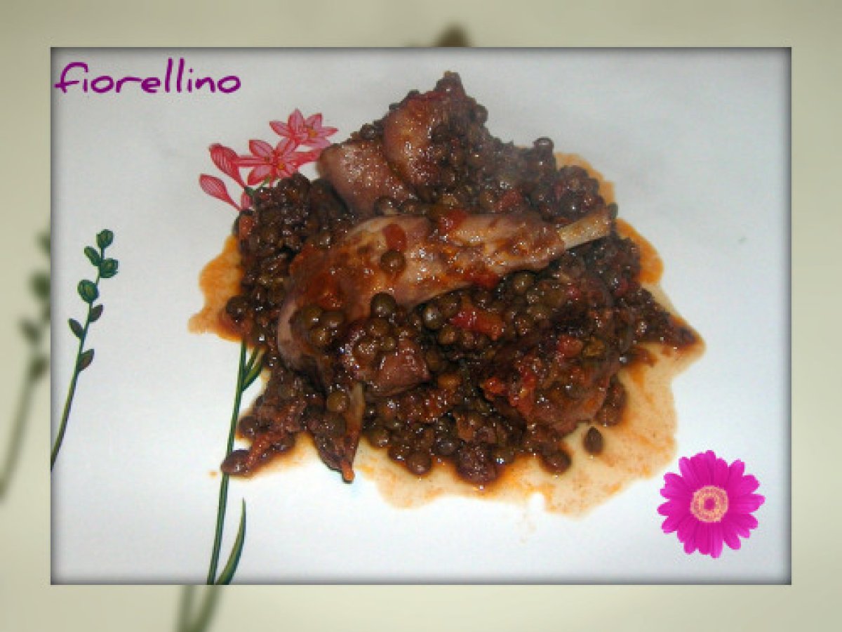 Coniglio in Umido con le Lenticchie