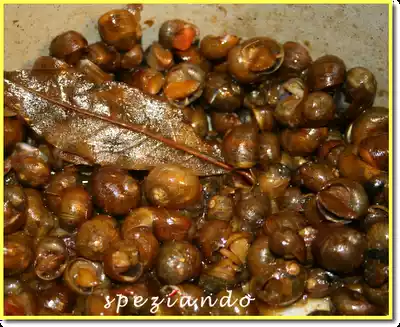 Cozze monacedde