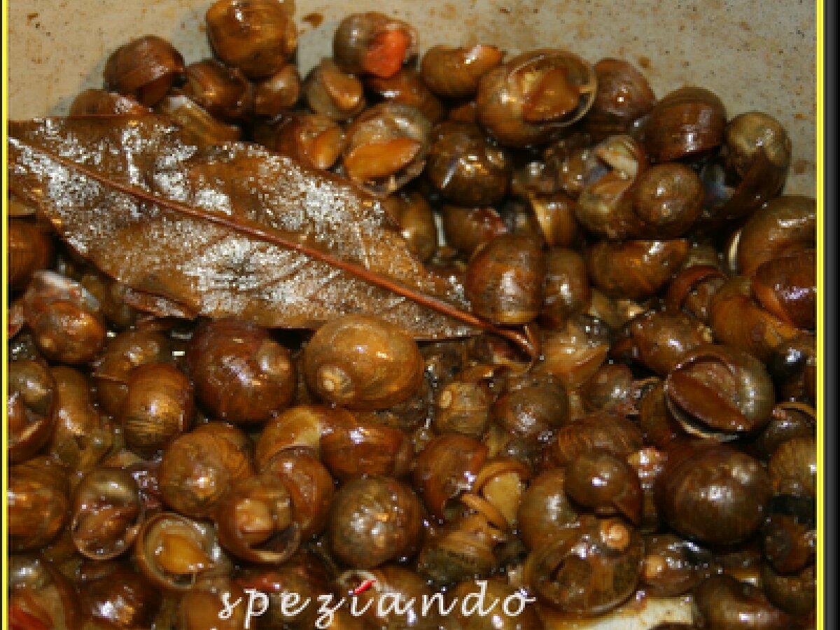 Cozze monacedde