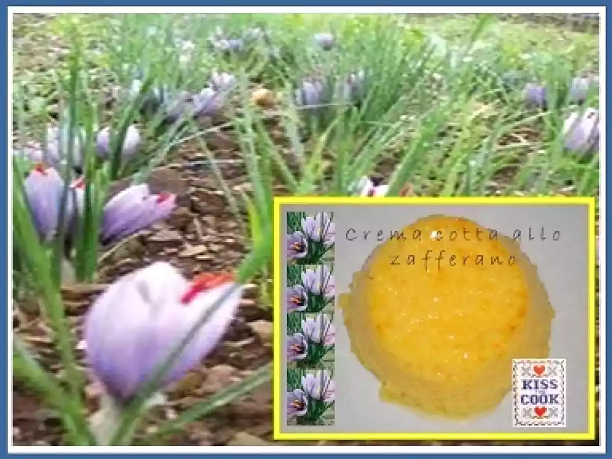 Crema cotta allo zafferano