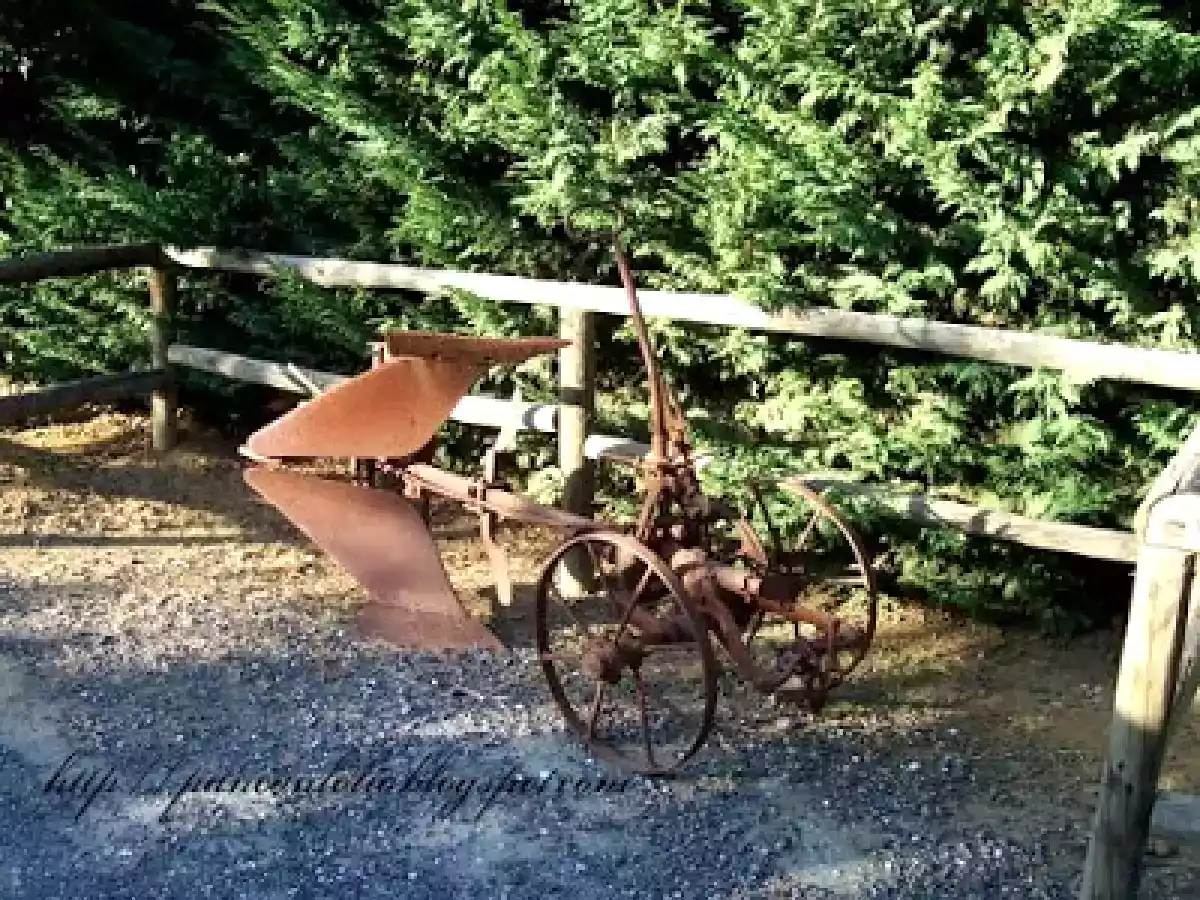 Crema di ricotta al limone - foto 3