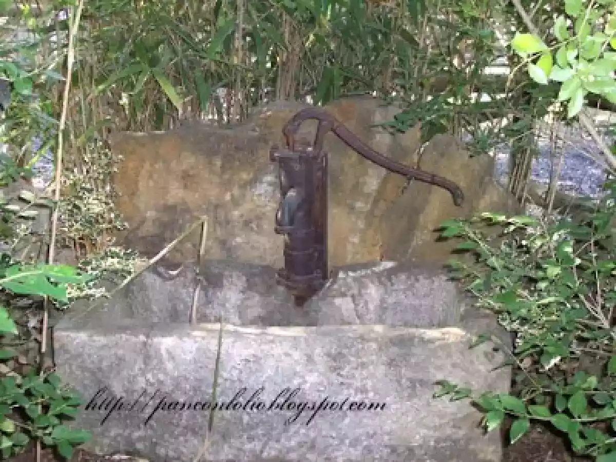 Crema di ricotta al limone - foto 5