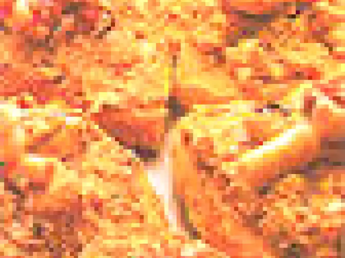 Crostini al misto di pesce