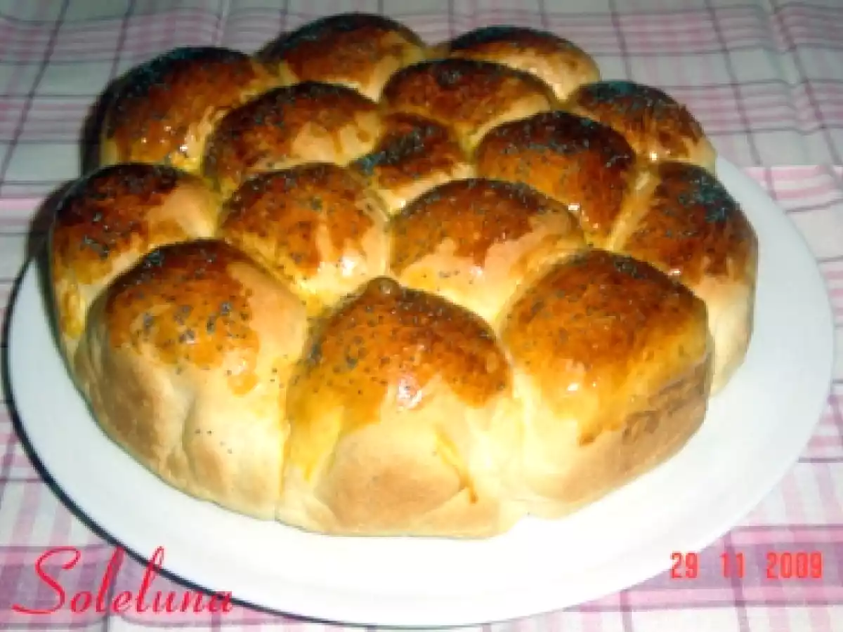 DANUBIO NORMALE E IN ALBERO DI NATALE - foto 2