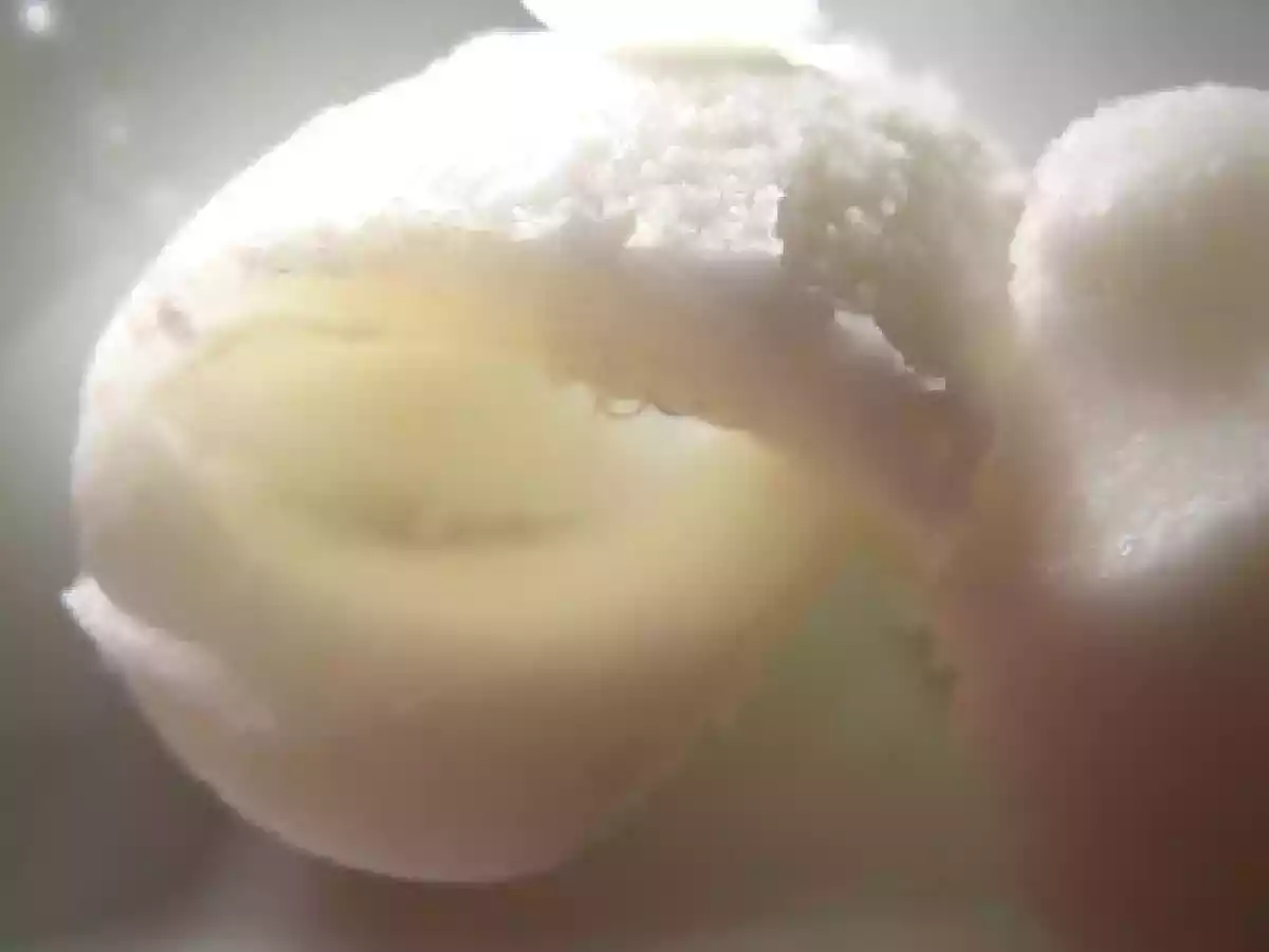 Dolci Gallesi - foto 9