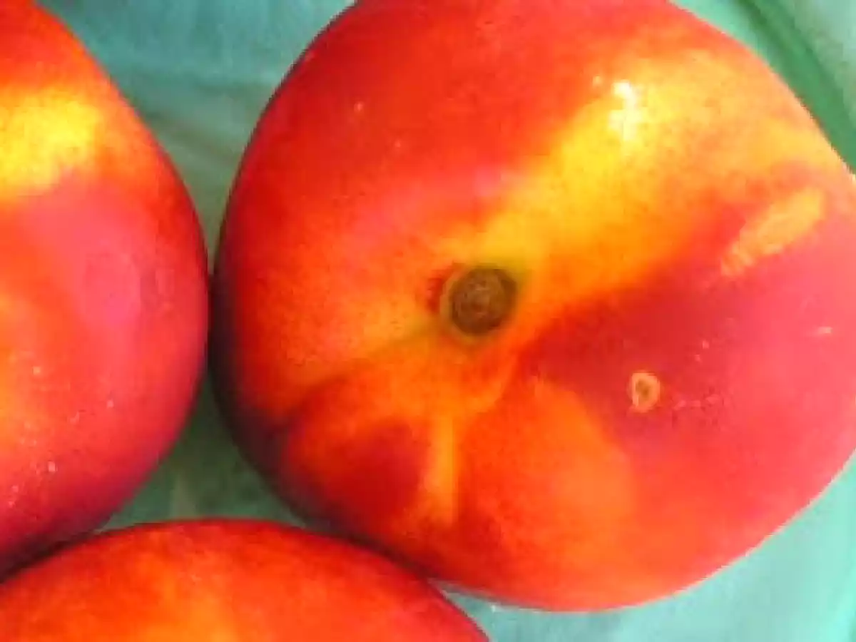 Estate.........piatti freddi - foto 3