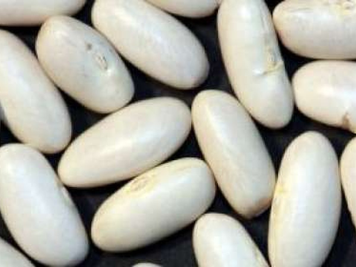 Fagioli bianchi di spagna in insalata