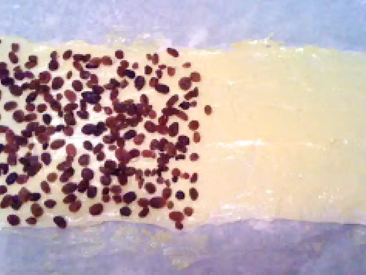 FERRARESI della Palma - foto 4