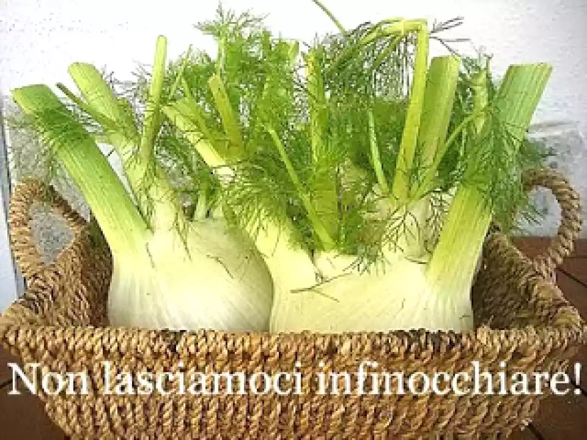 FINOCCHIO GRATINATO - foto 2