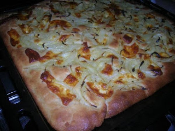 FOCACCIA CON CIPOLLA E CACIOTTA - pizza bread with onion and caciotta, foto 2