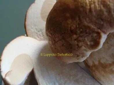 Focaccia di farro e segale integrale con funghi porcini freschi, foto 2