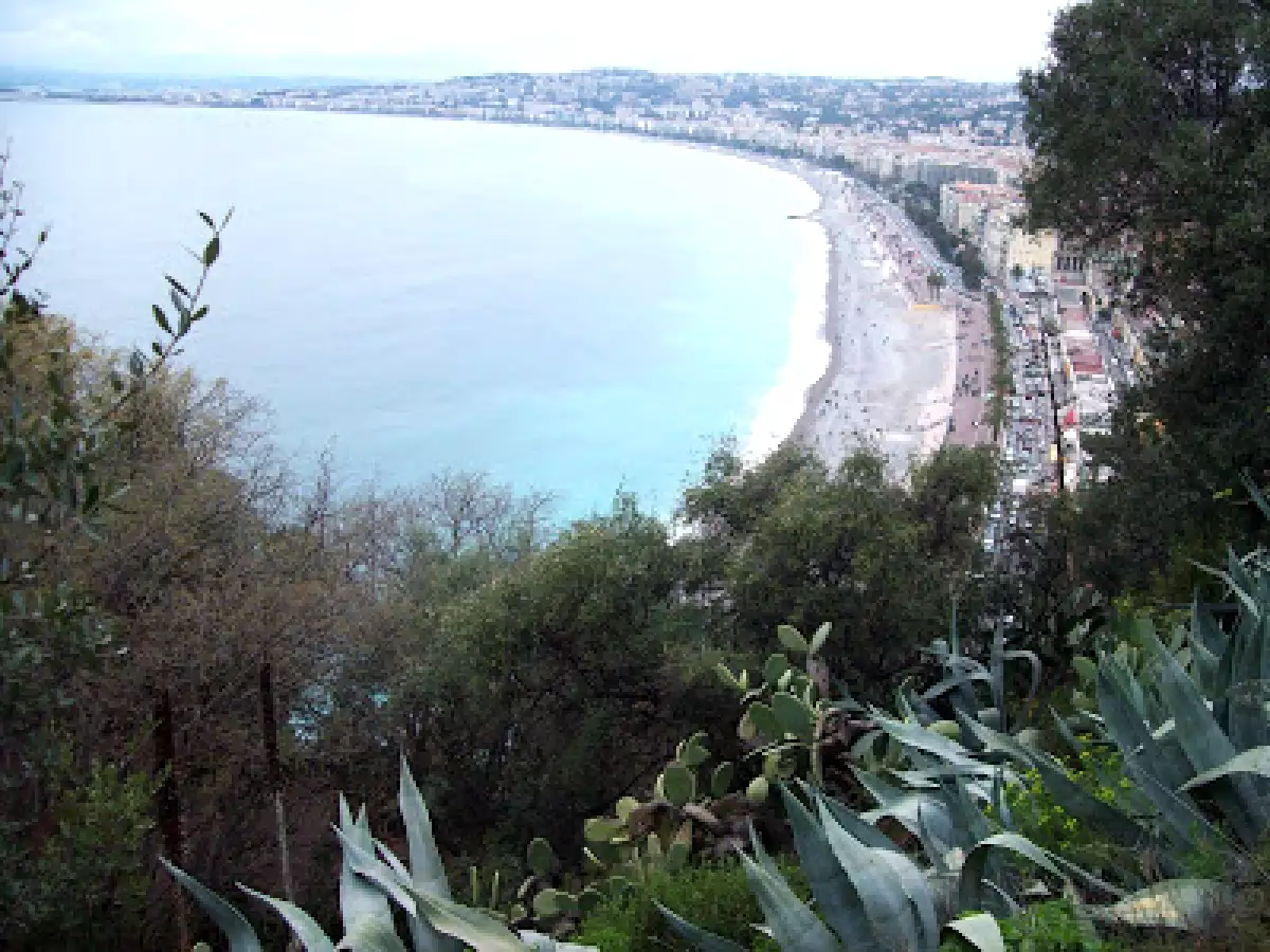 Focaccia veneta - foto 3