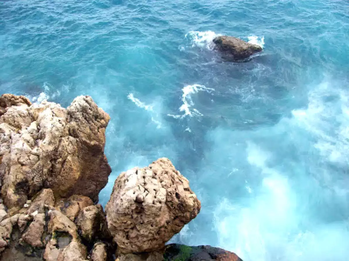 Focaccia veneta - foto 4