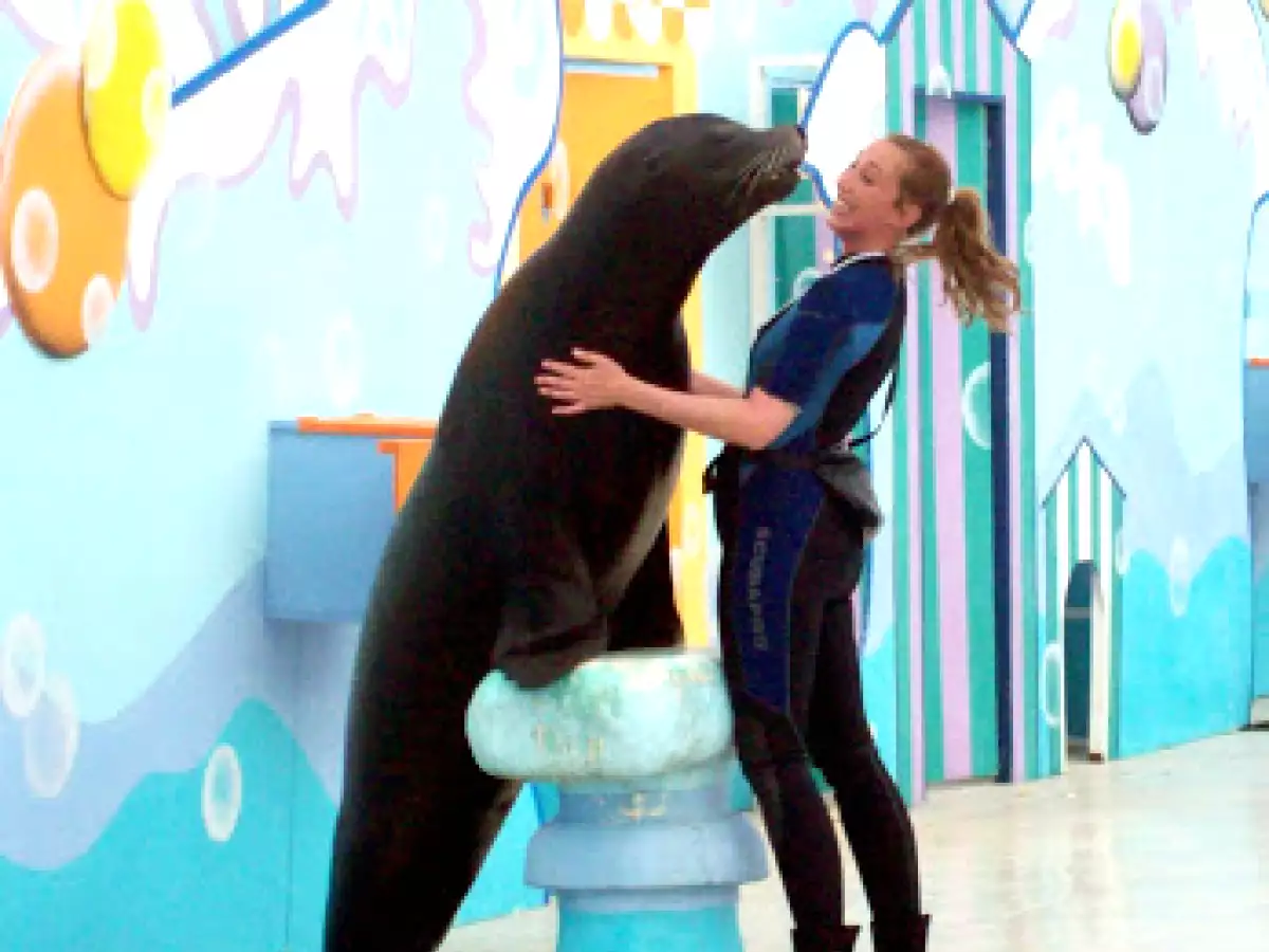 Focaccia veneta - foto 10