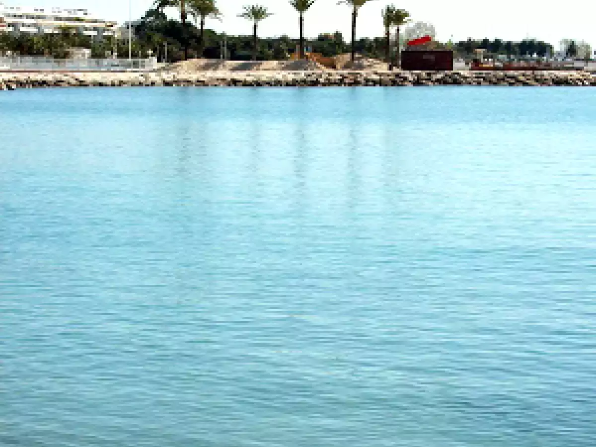 Focaccia veneta - foto 18