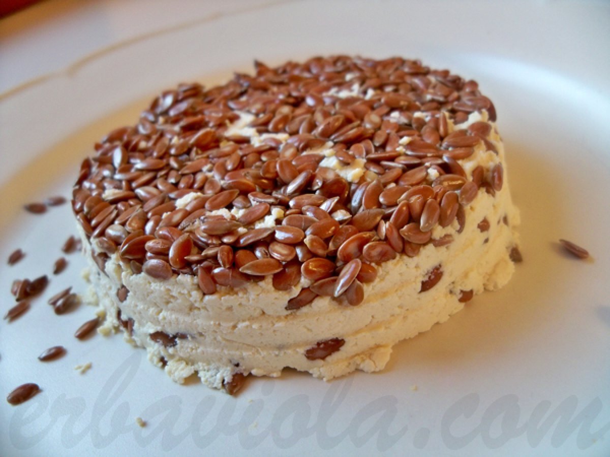 Formaggio ai semi di lino (vegan)