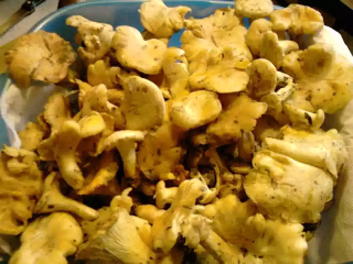 GALLETTI E PORCINI SOTT'OLIO E...