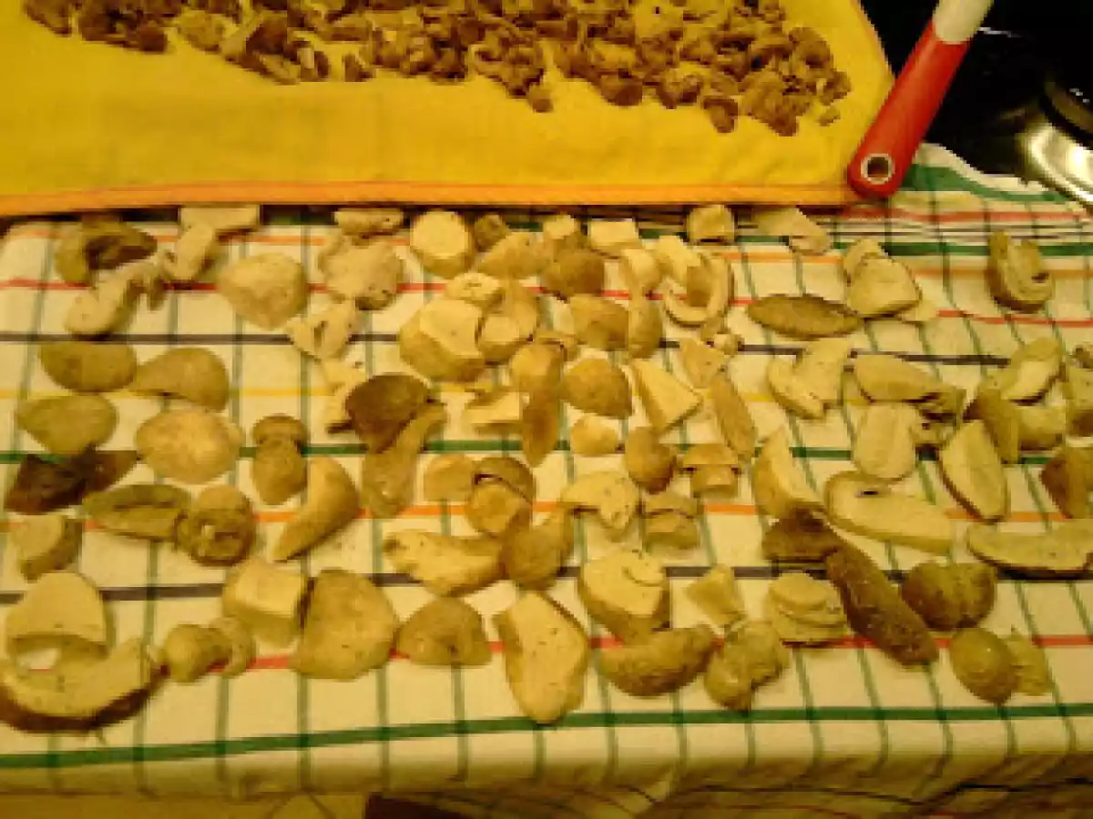 GALLETTI E PORCINI SOTT'OLIO E... - foto 9