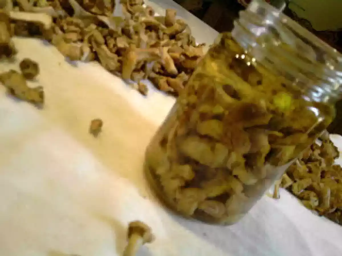 GALLETTI E PORCINI SOTT'OLIO E... - foto 11