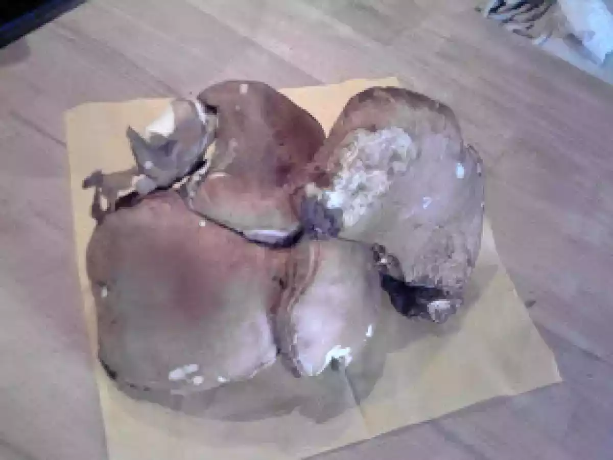 GALLETTI E PORCINI SOTT'OLIO E... - foto 15