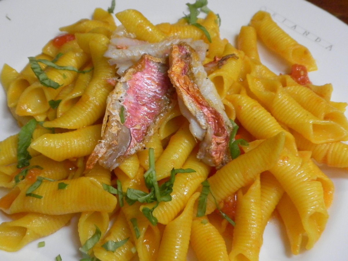 Garganelli allo Zafferano con Pomodorini di Pachino e Filetti di Triglia