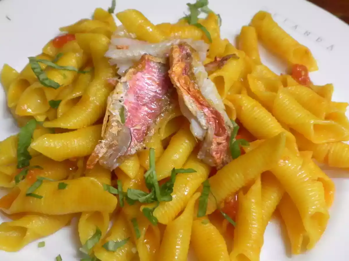 Garganelli allo Zafferano con Pomodorini di Pachino e Filetti di Triglia