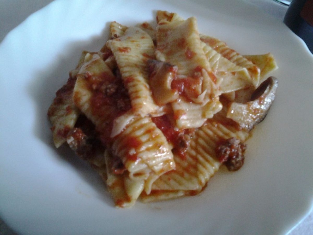 Garganelli con ragu e funghi cardoncelli