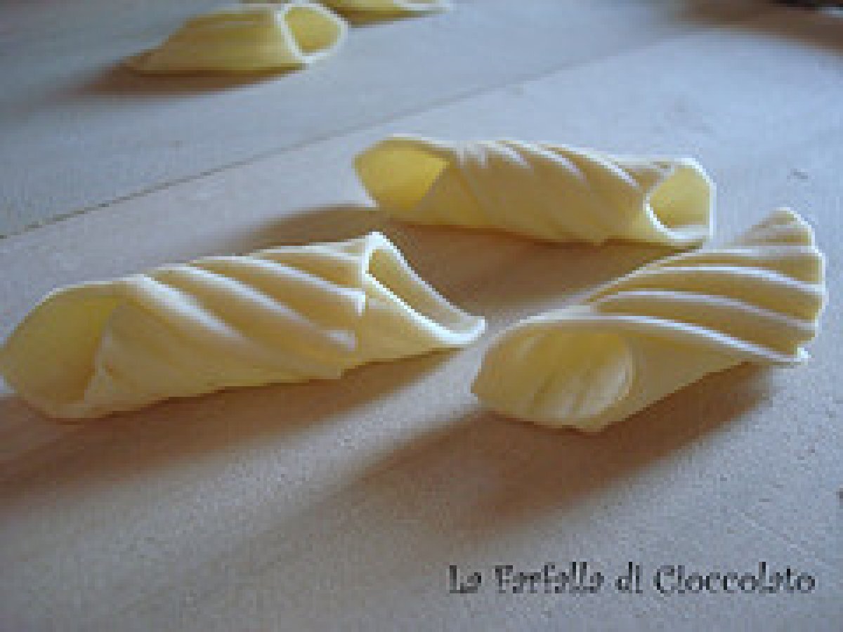 Garganelli fatti a mano con crema di peperoni - foto 8