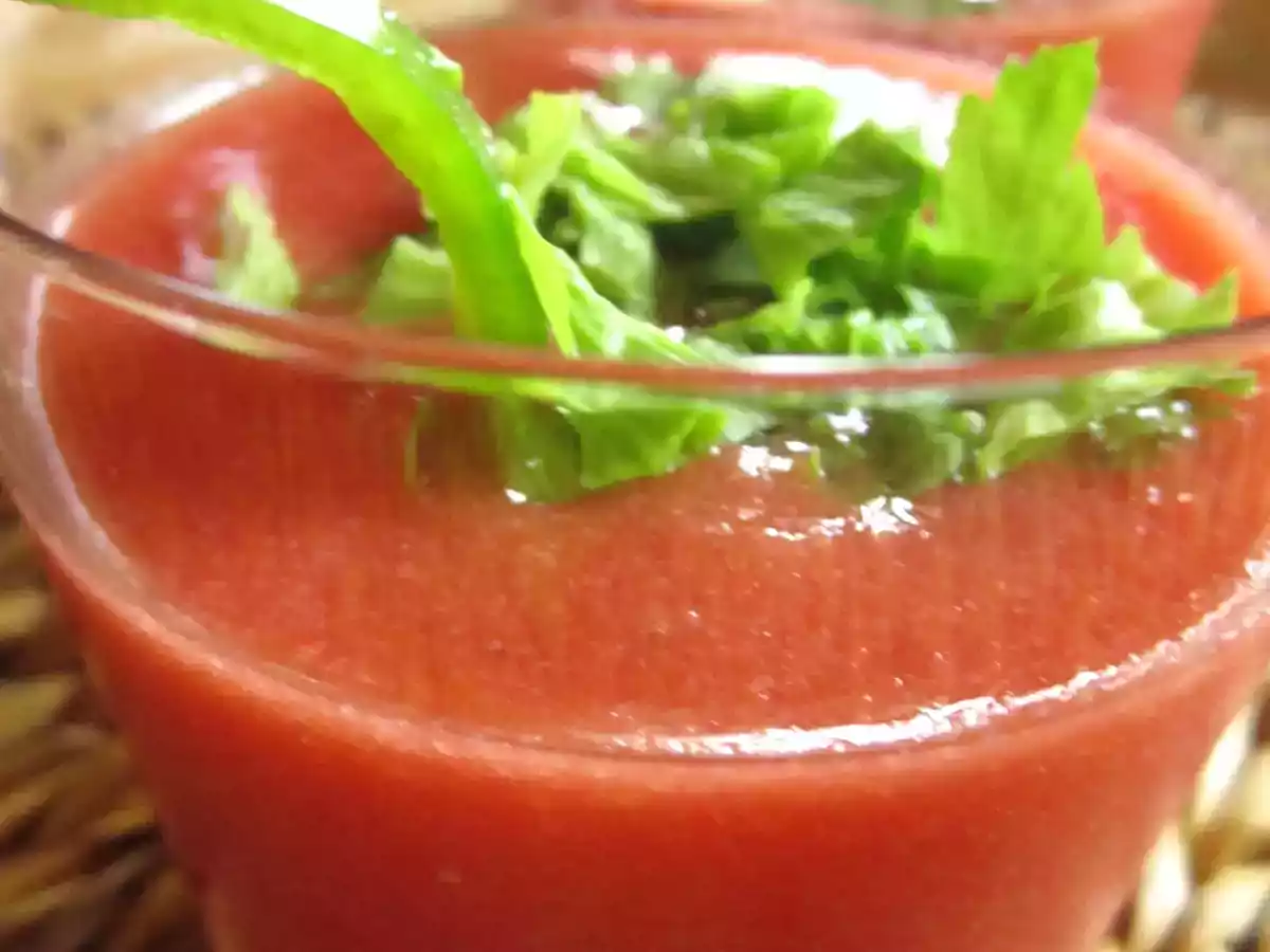 Gazpacho delicato