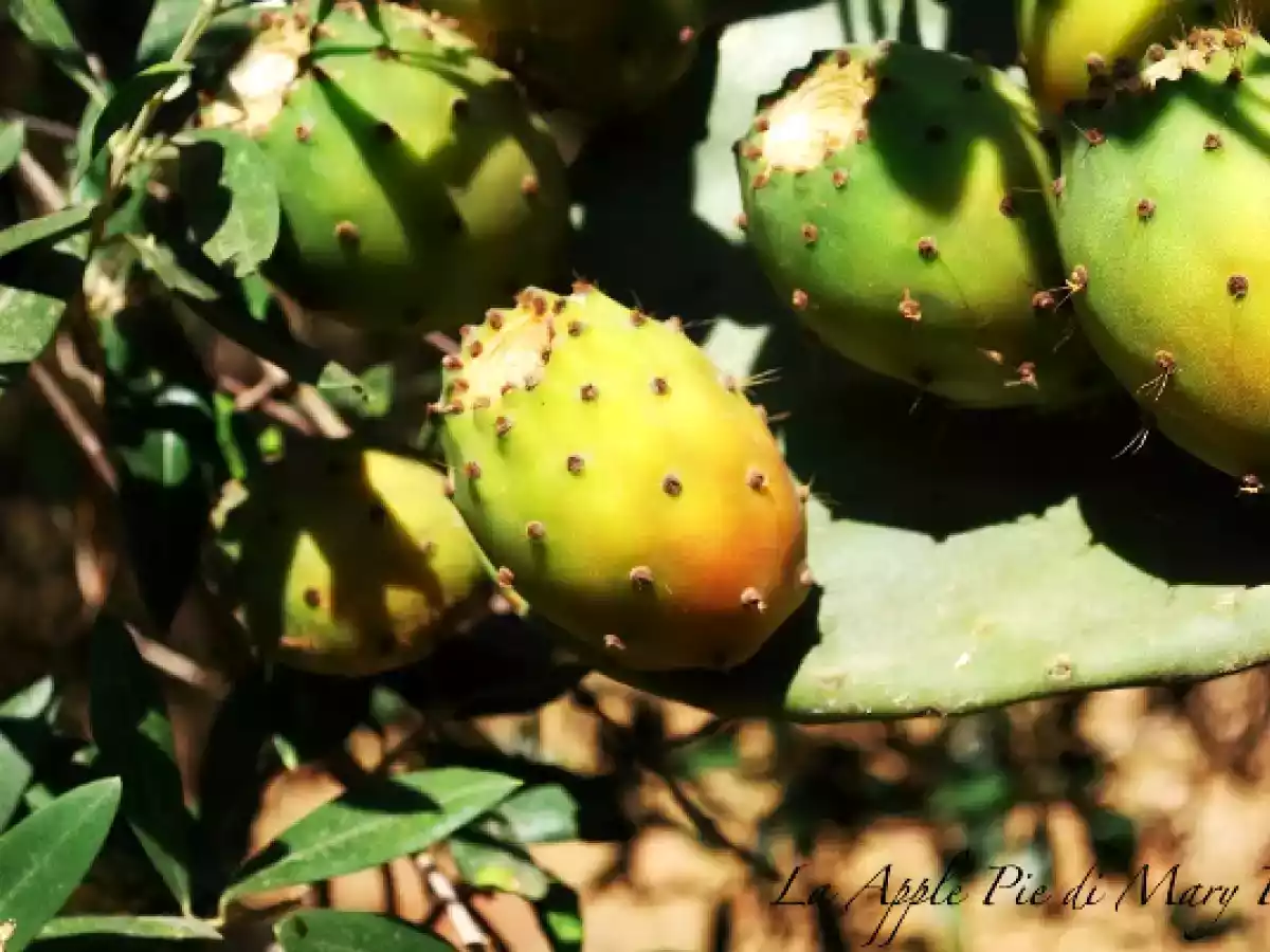 Gelatina di fichi d'India - foto 3