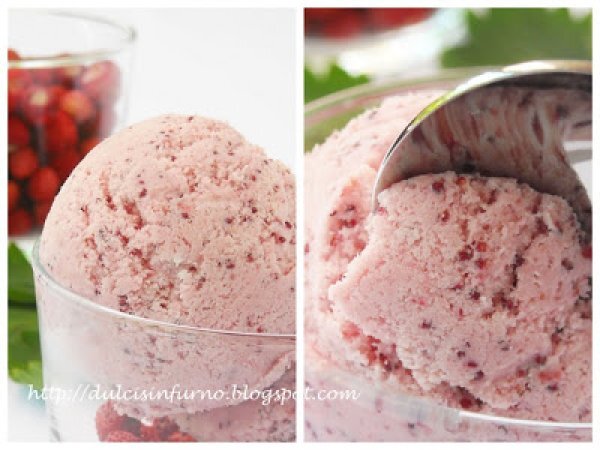 Gelato alle Fragoline di Bosco, foto 3