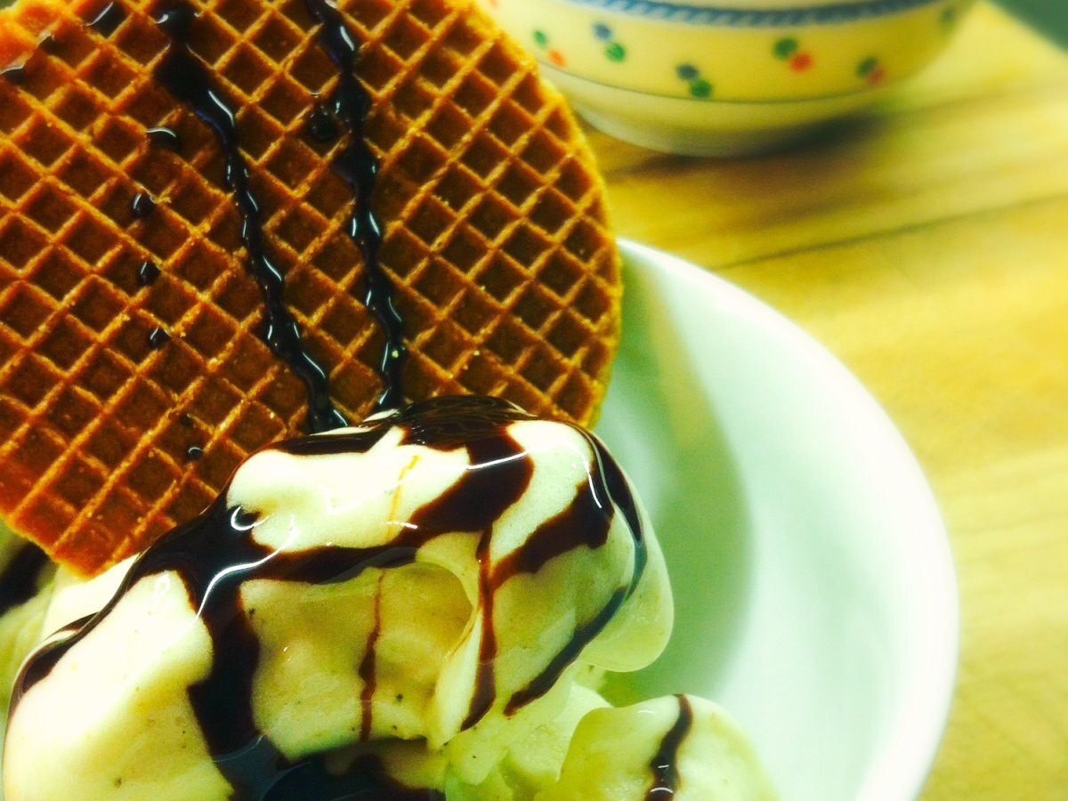 ricette gelato con gelatiera pdf