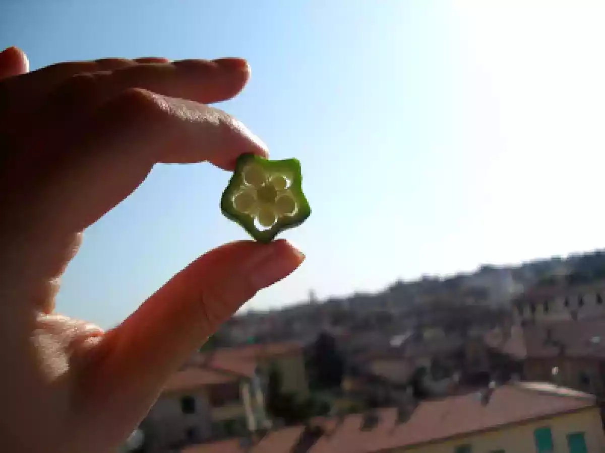 Gumbo di Pollo - foto 4