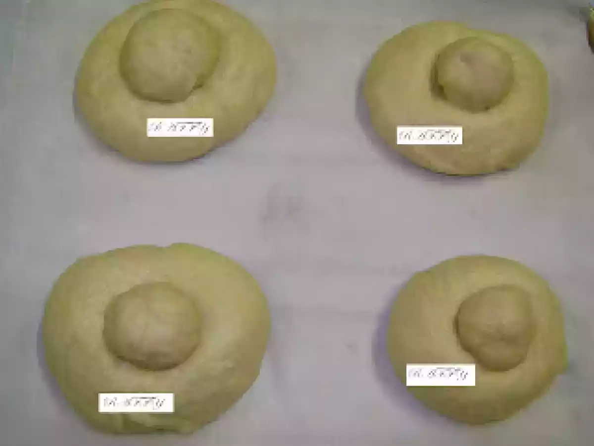 HO FATTO LE BRIOCHES SENZA UOVA ....DIVINEEEEE!! - foto 4