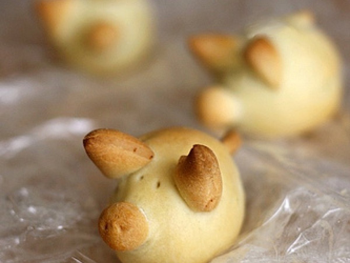 I panini maialini