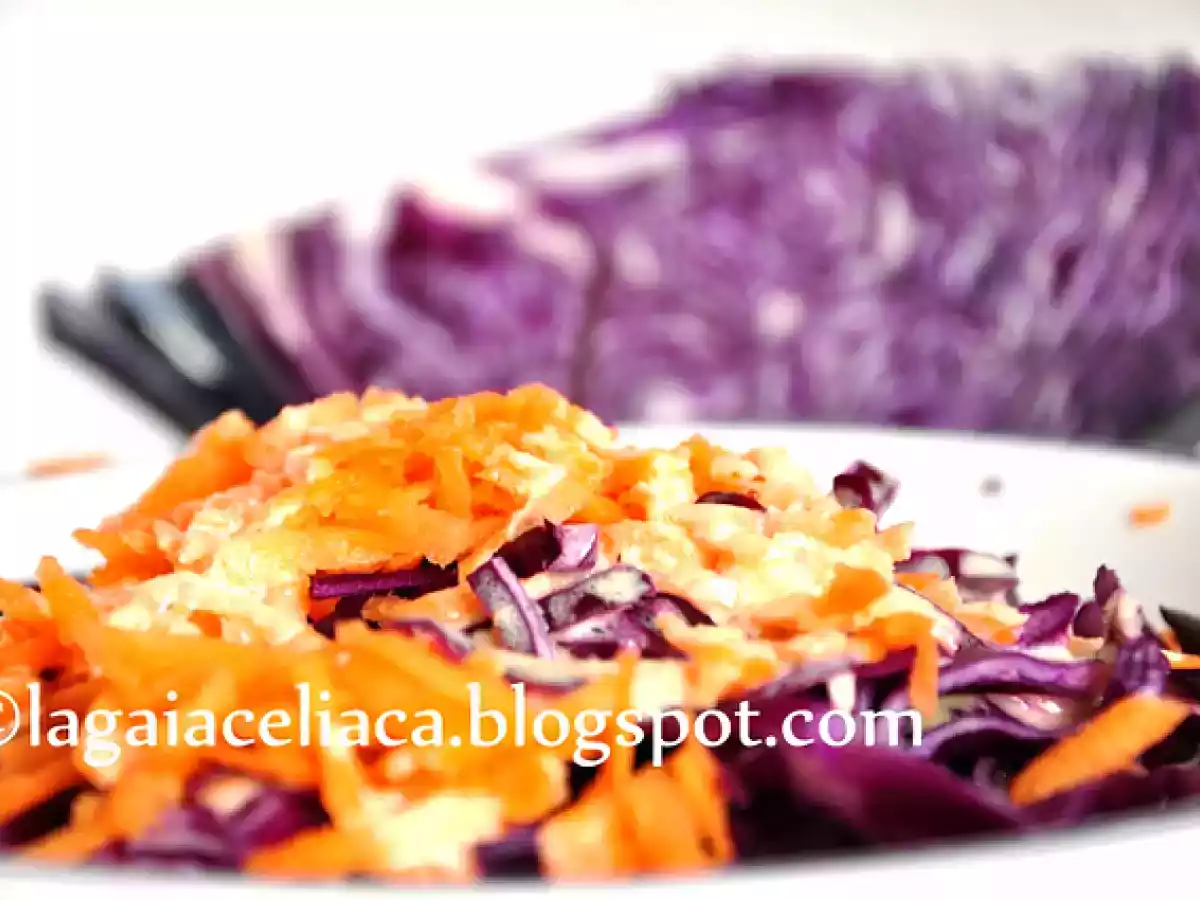 Il coleslaw, la cucina americana e le verdure del G.A.S.