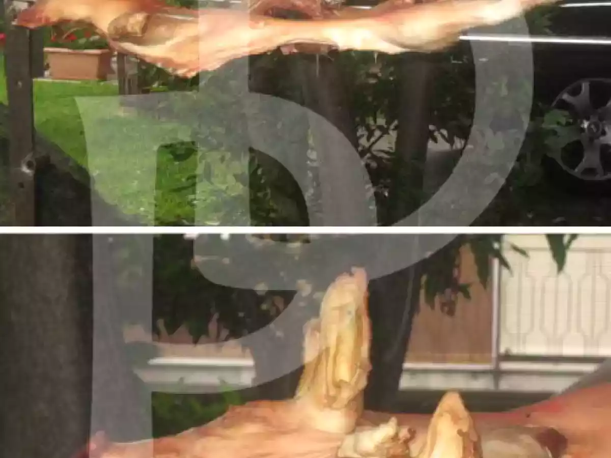 IL MAIALINO SARDO secondo ?Dolcipensieri?? - foto 4